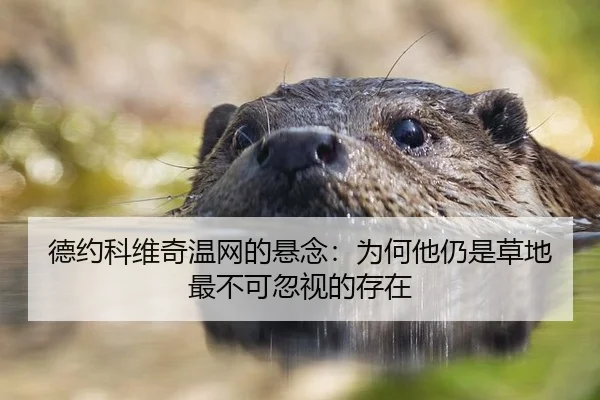 德约科维奇温网的悬念：为何他仍是草地最不可忽视的存在