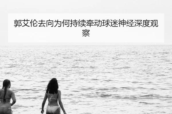 郭艾伦去向为何持续牵动球迷神经深度观察