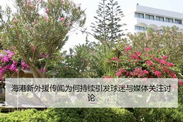 海港新外援传闻为何持续引发球迷与媒体关注讨论